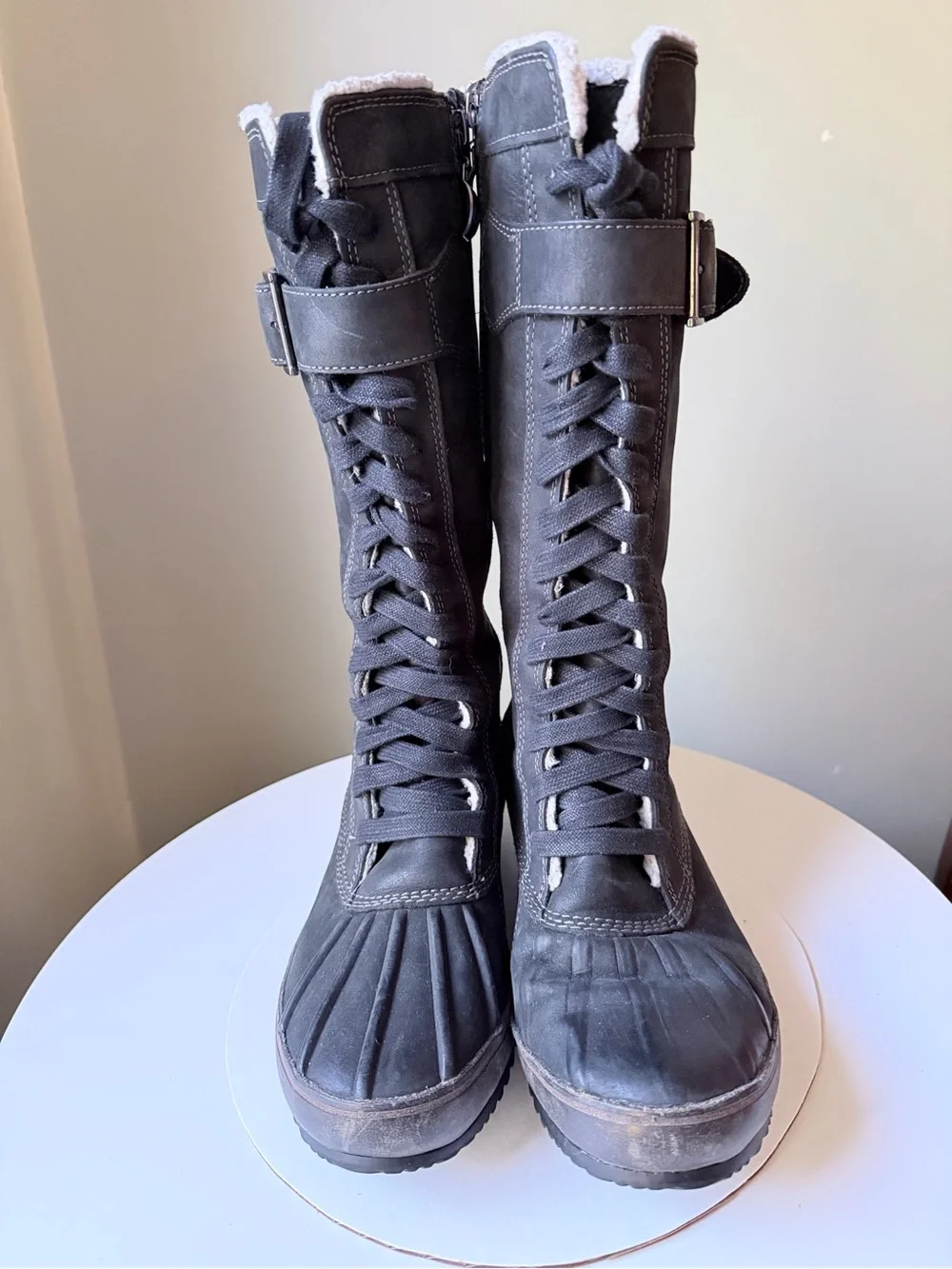 Sorel sorelia earhart